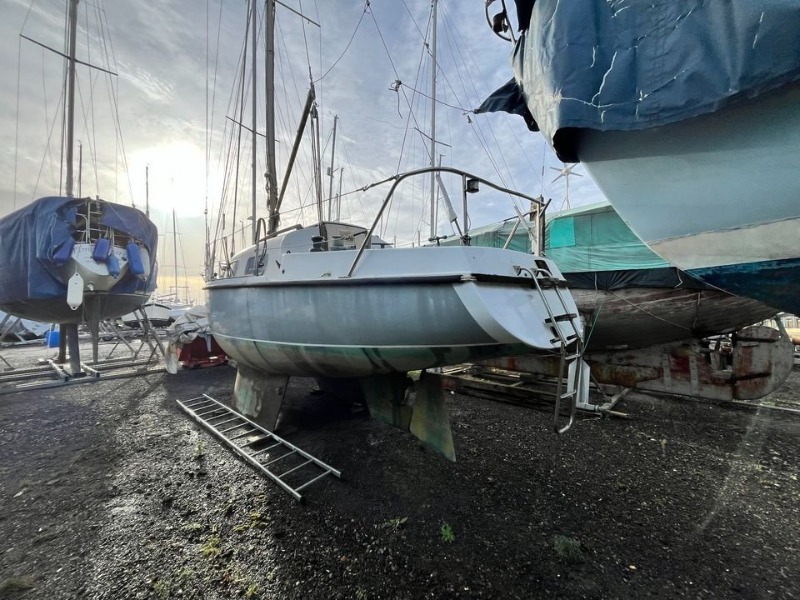 
								Kingfisher 26 1969 full									